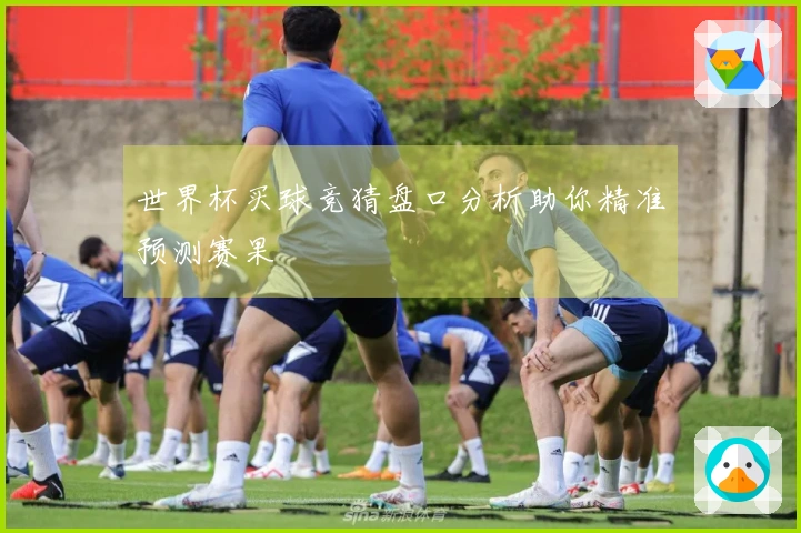 世界杯买球竞猜盘口分析助你精准预测赛果