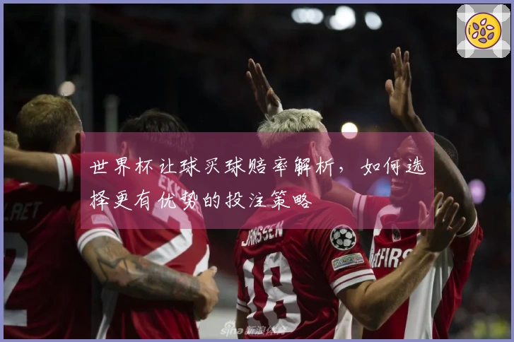 世界杯让球买球赔率解析，如何选择更有优势的投注策略