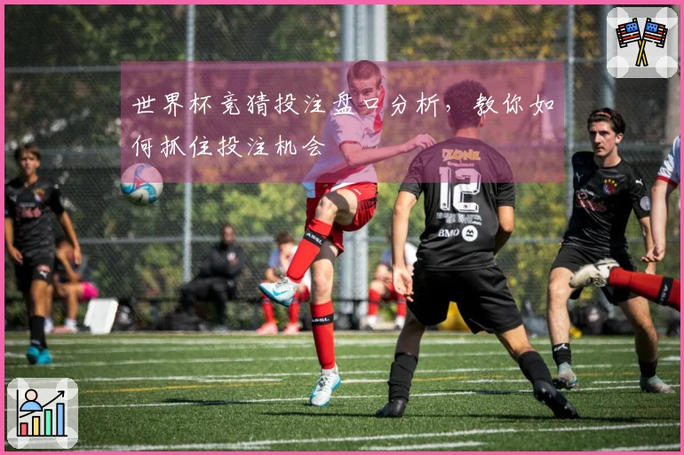 世界杯竞猜投注盘口分析，教你如何抓住投注机会