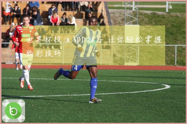 世界杯投注App推荐 让你轻松掌握购彩技巧
