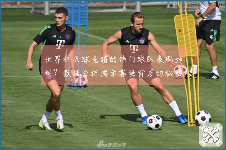 世界杯买球竞猜的热门球队表现如何？数据分析揭示赛场背后的秘密
