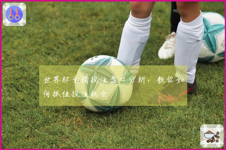 世界杯竞猜投注盘口分析，教你如何抓住投注机会