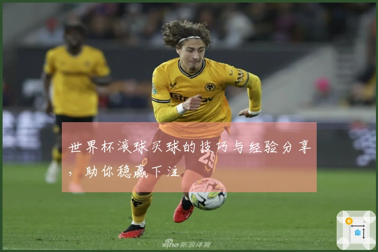 世界杯滚球买球的技巧与经验分享，助你稳赢下注